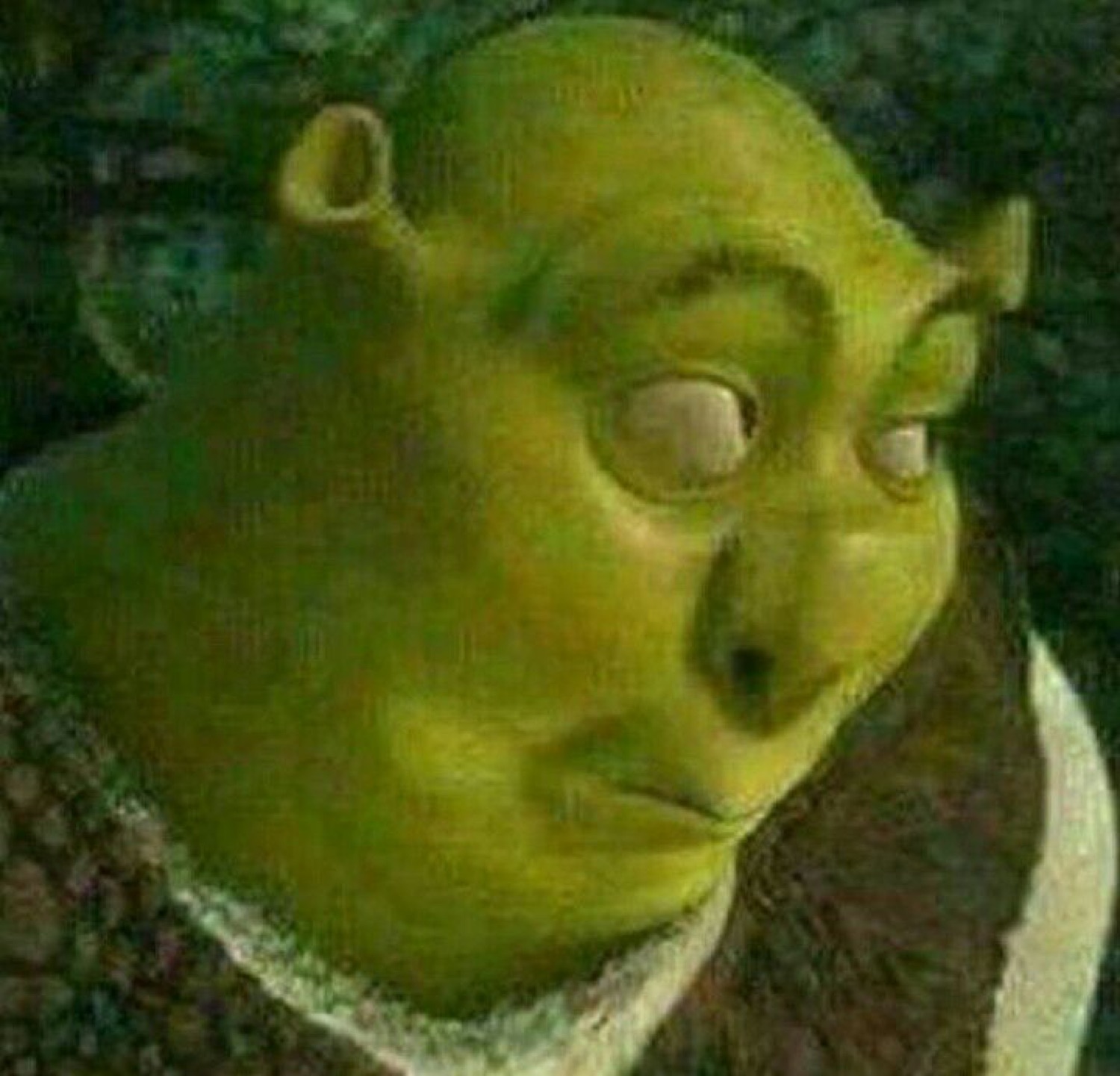 A low-res Shrek staring off with a blank, exhausted, done-with-it expression