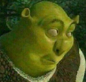 A low-res Shrek staring off with a blank, exhausted, done-with-it expression
