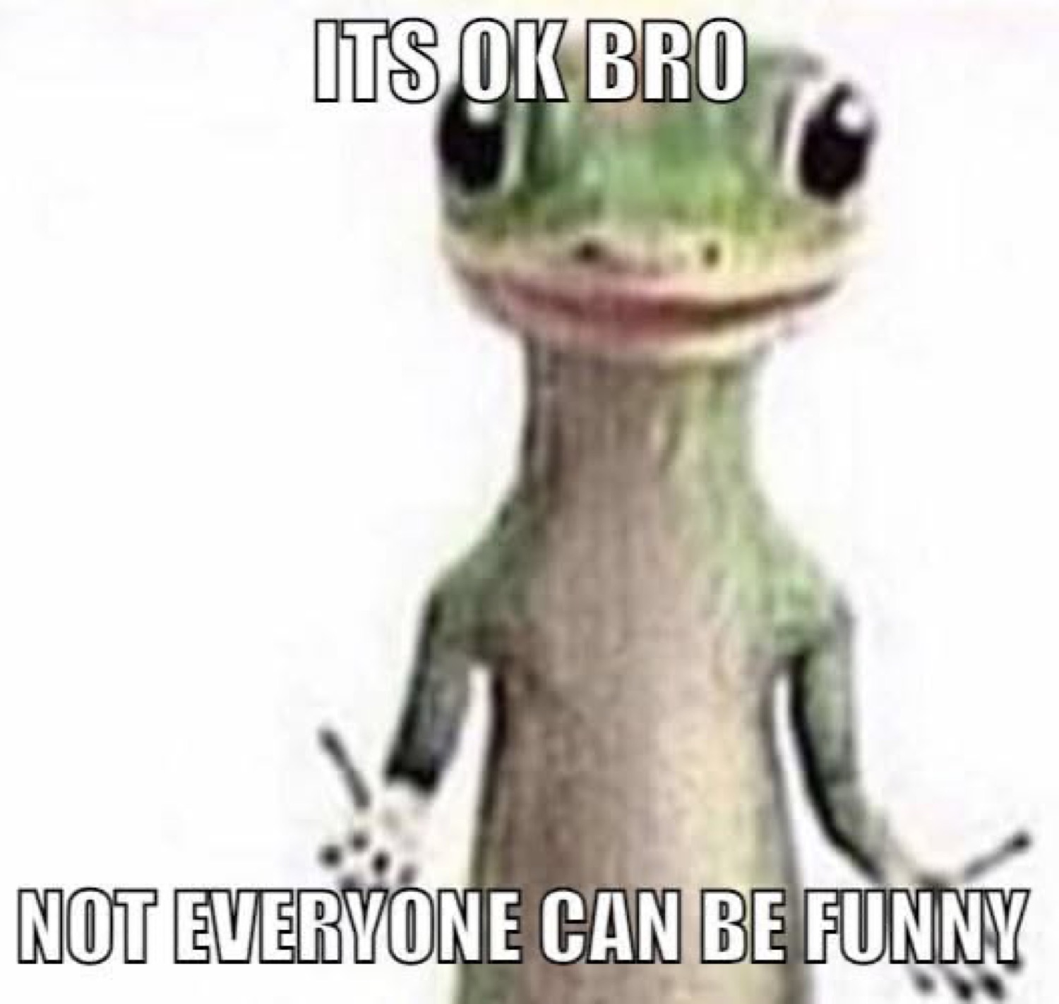 The little green gecko standing calmly captioned 'It's ok bro, not everyone can be funny'