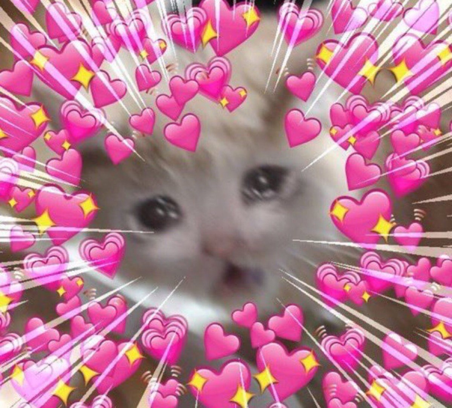 White kitten surrounded by a burst of pink heart emojis looking absolutely smitten