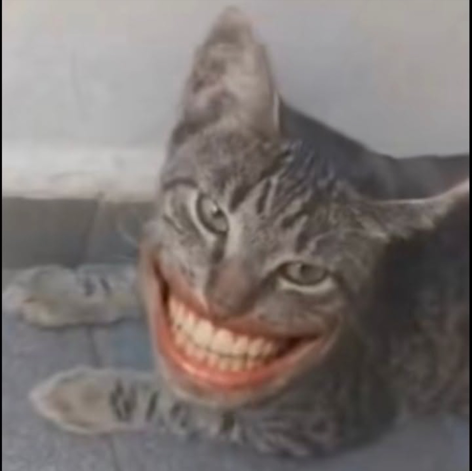 SpongeBob grinning wide up front while screaming Spongebobs flail in the background
