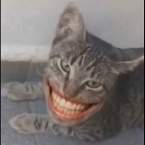SpongeBob grinning wide up front while screaming Spongebobs flail in the background