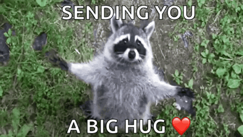 Raccoon standing with its arms wide open, "Sending you a big hug"