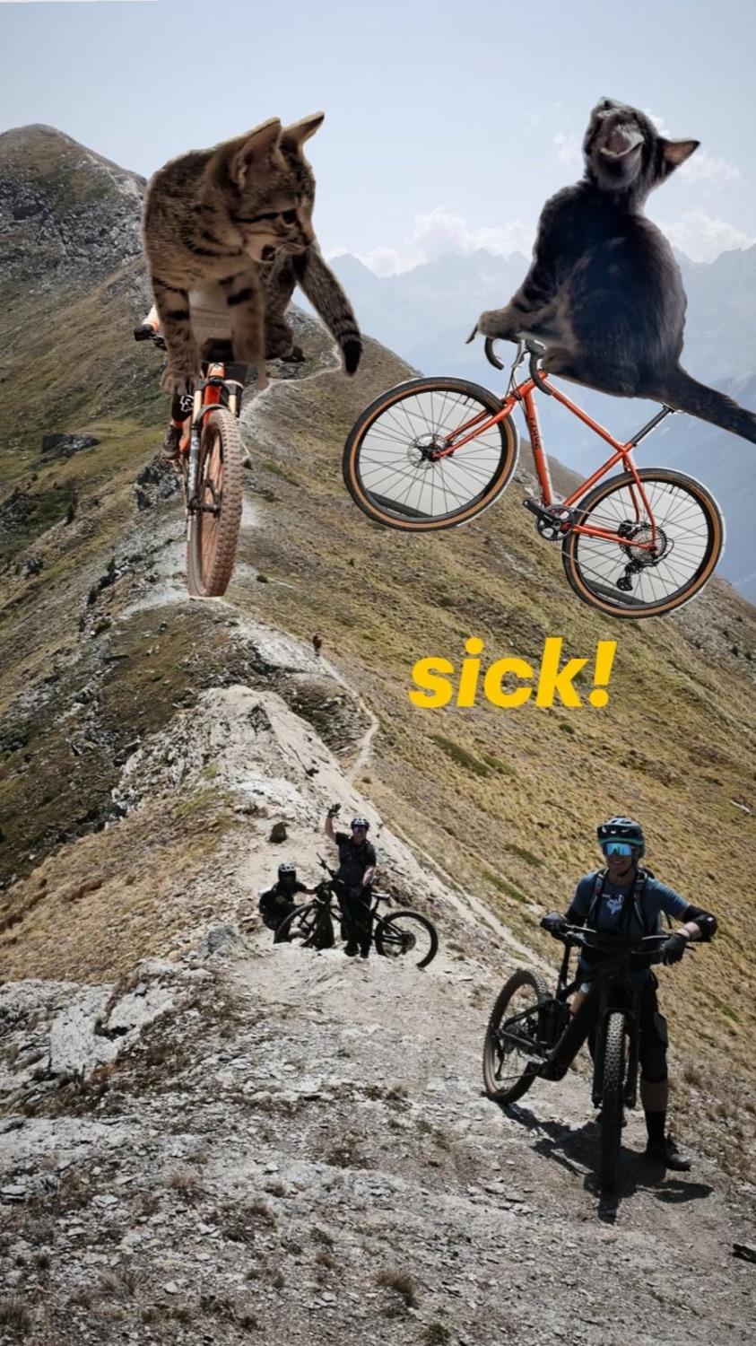 Cats mountain biking down a rocky ridge: 'sick!'