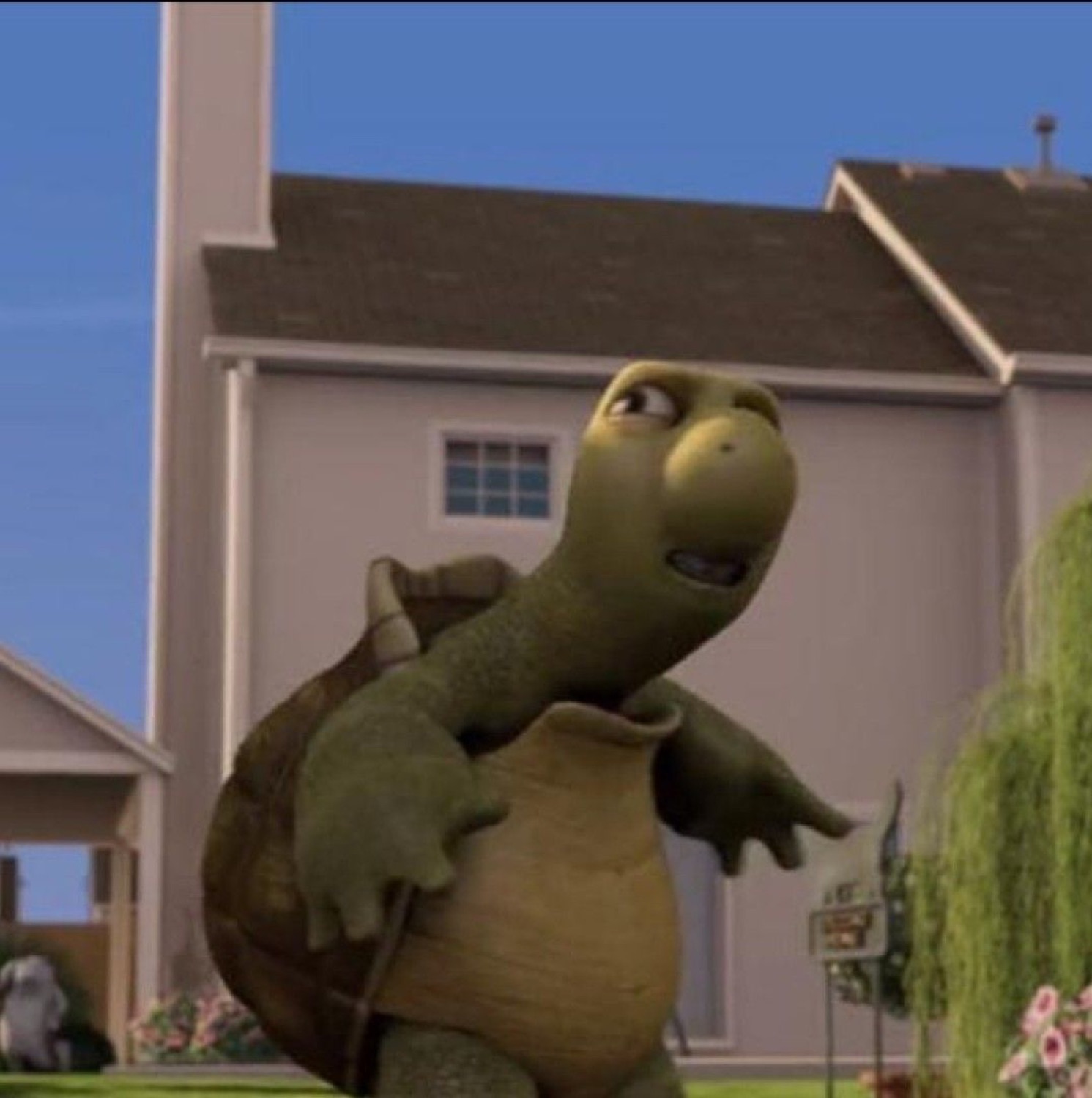 Animated turtle glancing sideways with a tense, guilty grimace on a suburban lawn