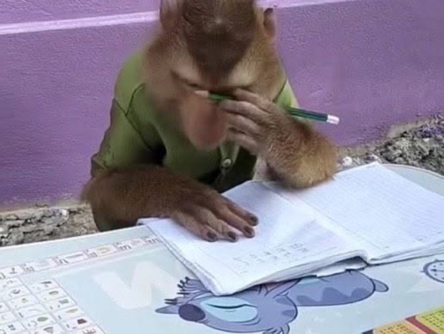 Monkey rubbing its eyes over a workbook