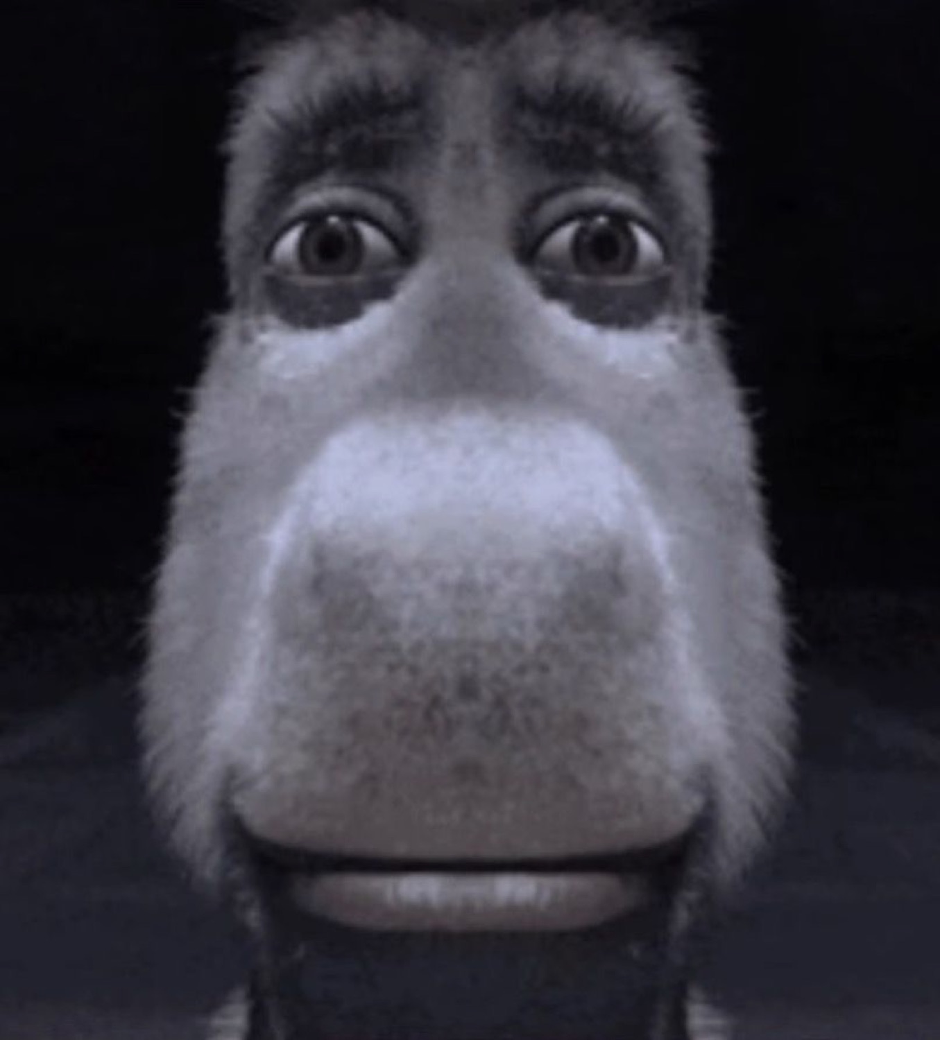 Close-up of Donkey from Shrek with huge staring eyes