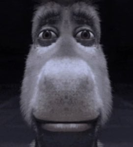 Close-up of Donkey from Shrek with huge staring eyes