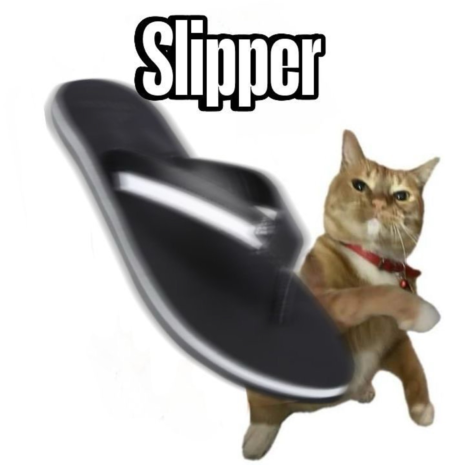 Orange cat swinging a giant flip-flop, labeled 'Slipper'