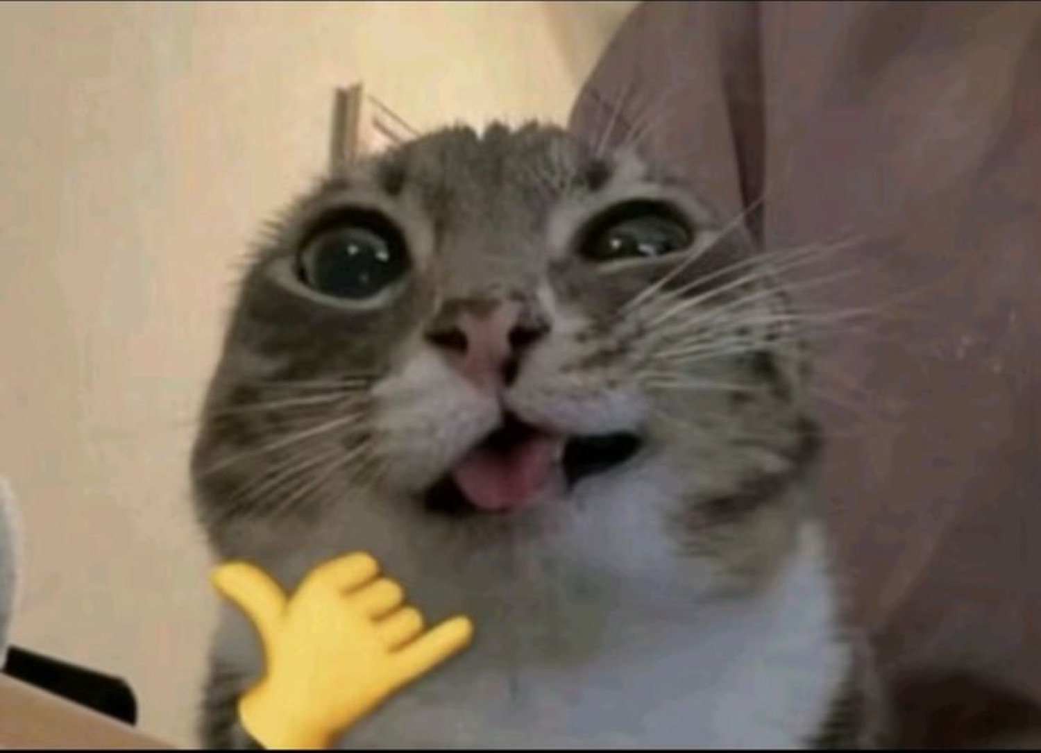 Tabby cat with huge dilated pupils and open mouth, a yellow shaka emoji pointing at it