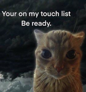 Orange cat staring dead ahead against storm clouds: 'Your on my touch list'