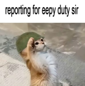 Tiny cat in a helmet lying flat captioned 'reporting for eepy duty sir'