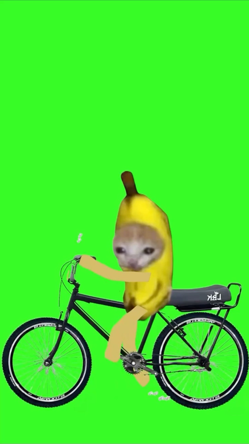 Banana cat riding a bicycle on a green screen