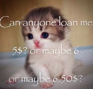 Sad-eyed fluffy kitten captioned 'Can anyone loan me 5$? or maybe 6 or maybe 6.50$?'
