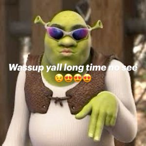 Shrek in shades: 'Wassup yall long time no see'