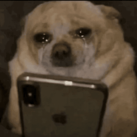 Dog crying while staring at a phone
