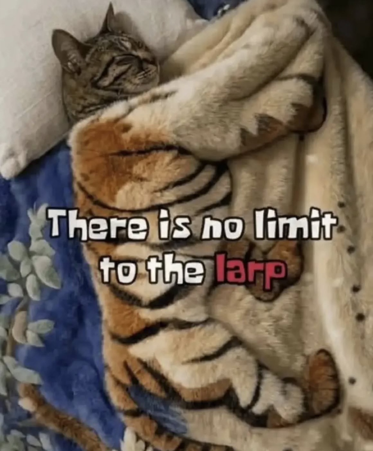 Cat napping under a tiger-print blanket: 'There is no limit to the larp'