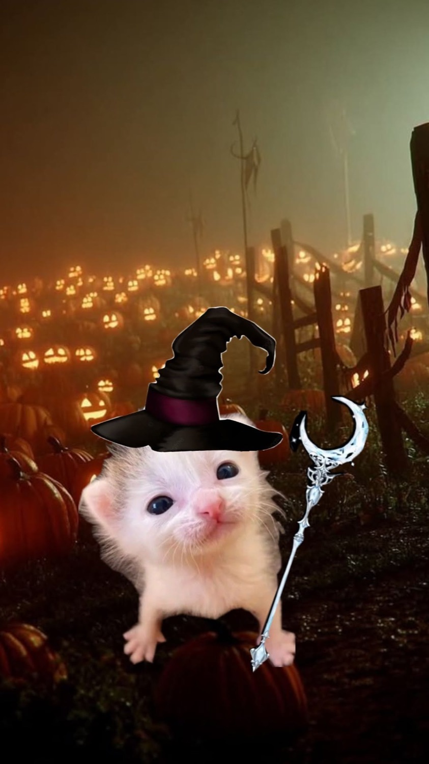 Tiny white kitten in a witch hat holding a wand in a field of glowing pumpkins