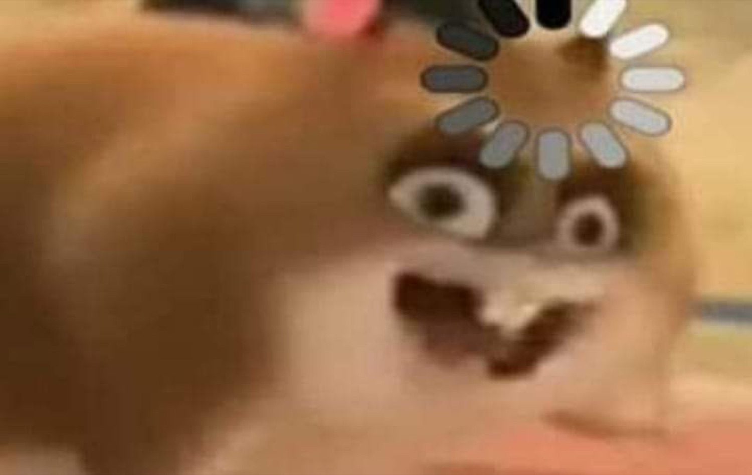 Blurry wide-eyed hamster mid-scream with a loading spinner over its head