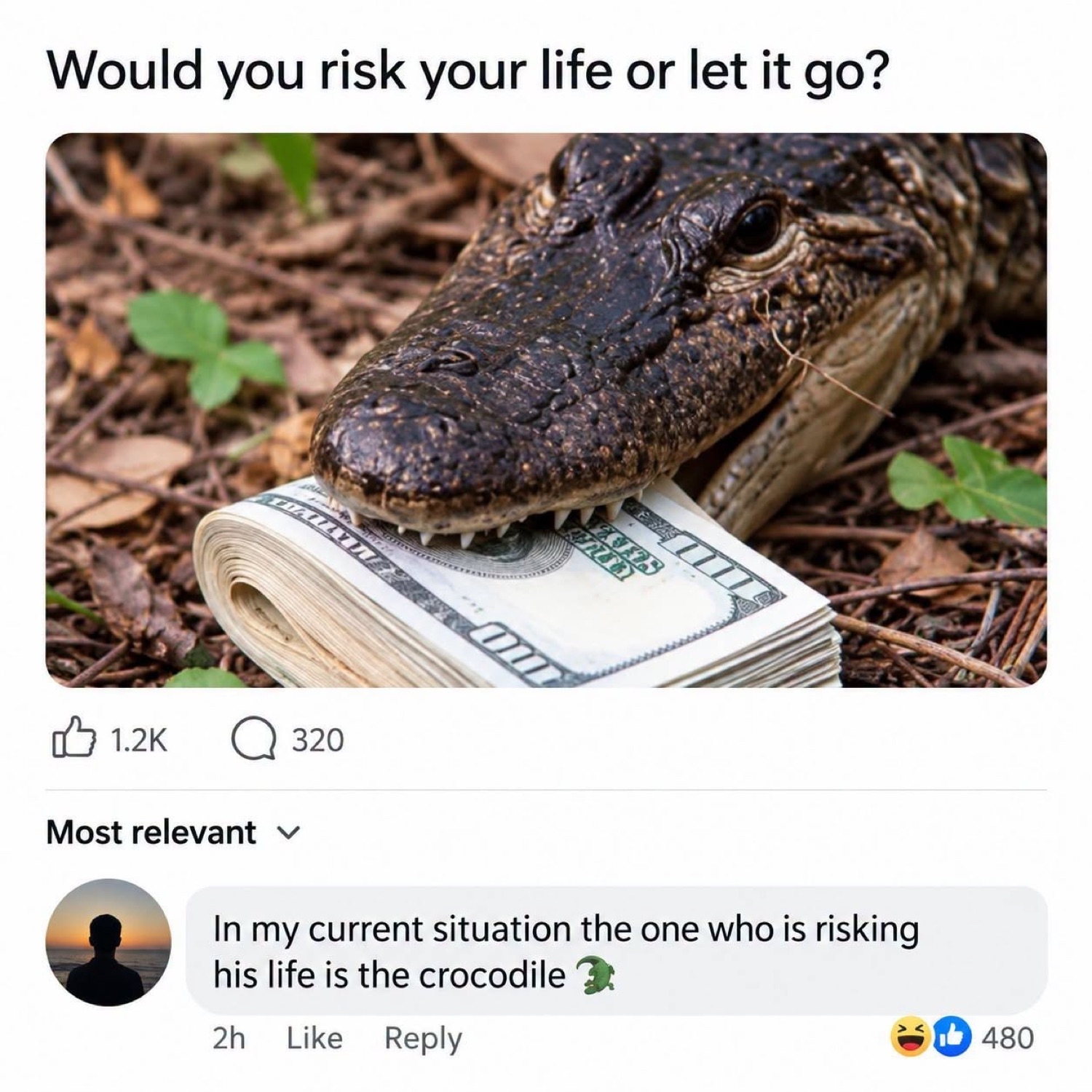 Post asking 'Would you risk your life or let it go?' over a crocodile biting a stack of cash