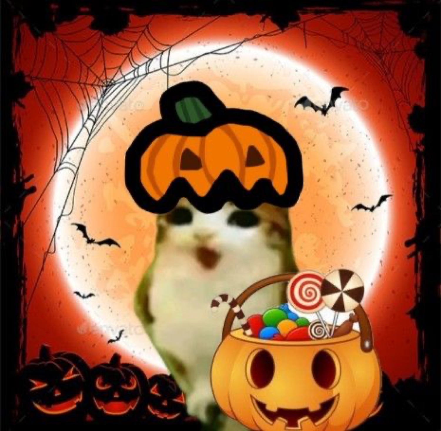 Cat in a pumpkin hat with a candy-filled jack-o-lantern bucket under a full moon