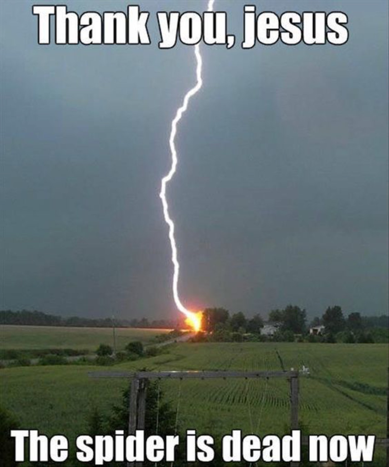 Lightning striking a field: 'Thank you, jesus / The spider is dead now'