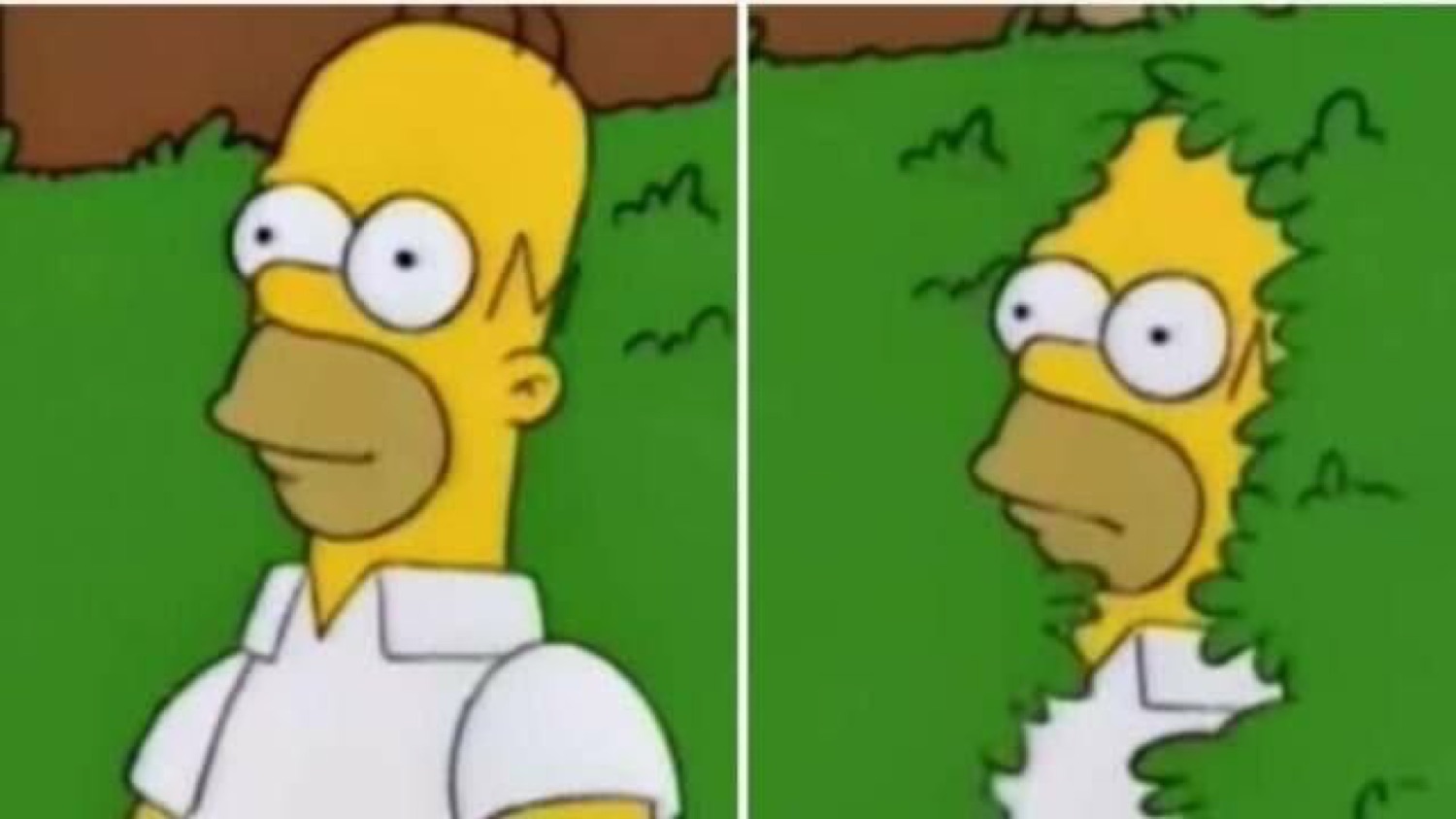 Two panels: Homer Simpson standing by a hedge, then sinking into it