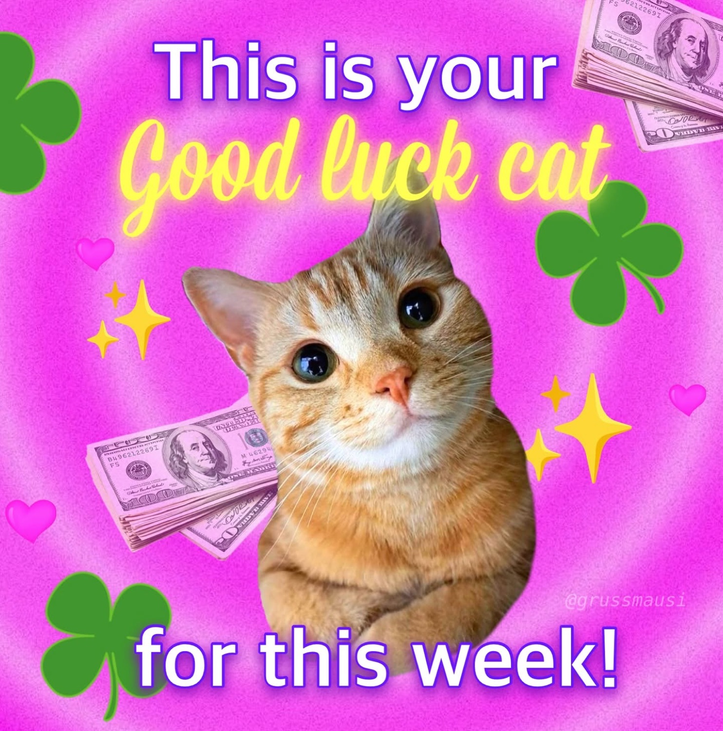 Cat surrounded by clovers and cash: 'This is your Good luck cat for this week!'