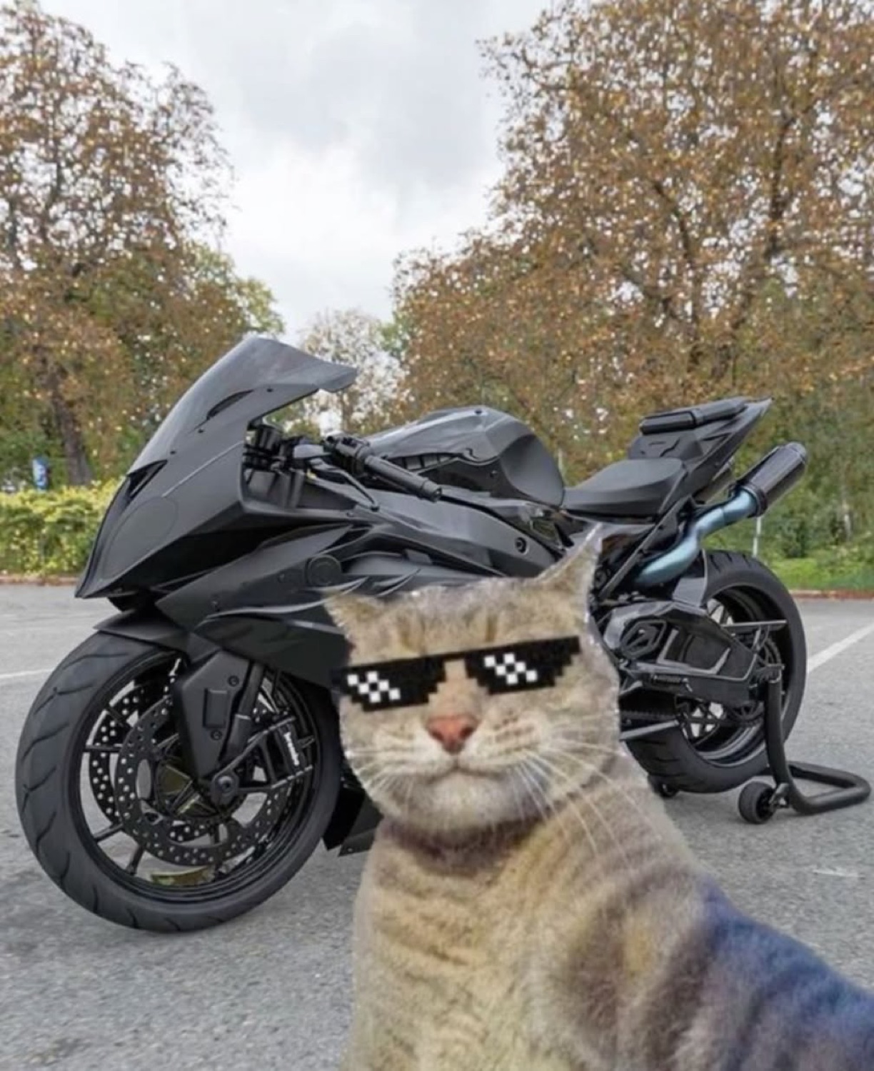Cat in pixel sunglasses taking a selfie in front of a motorcycle