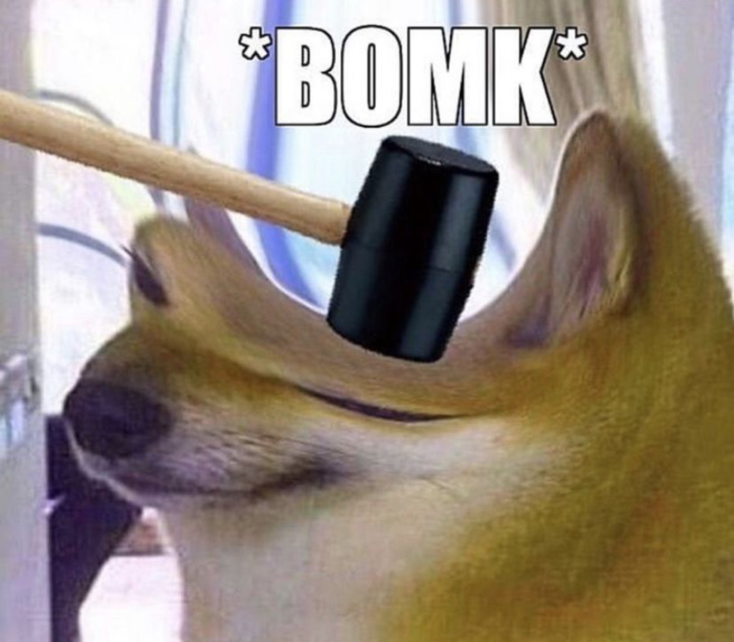 Shiba dog getting bonked by a hammer: '*BOMK*'