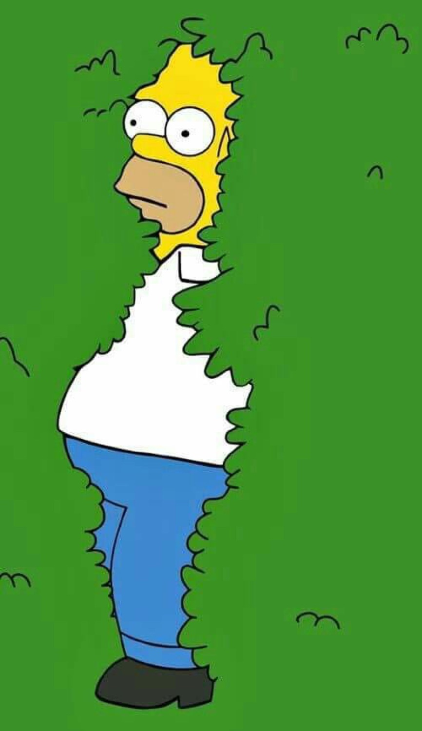 Full-length Homer Simpson standing half inside a hedge on a green background