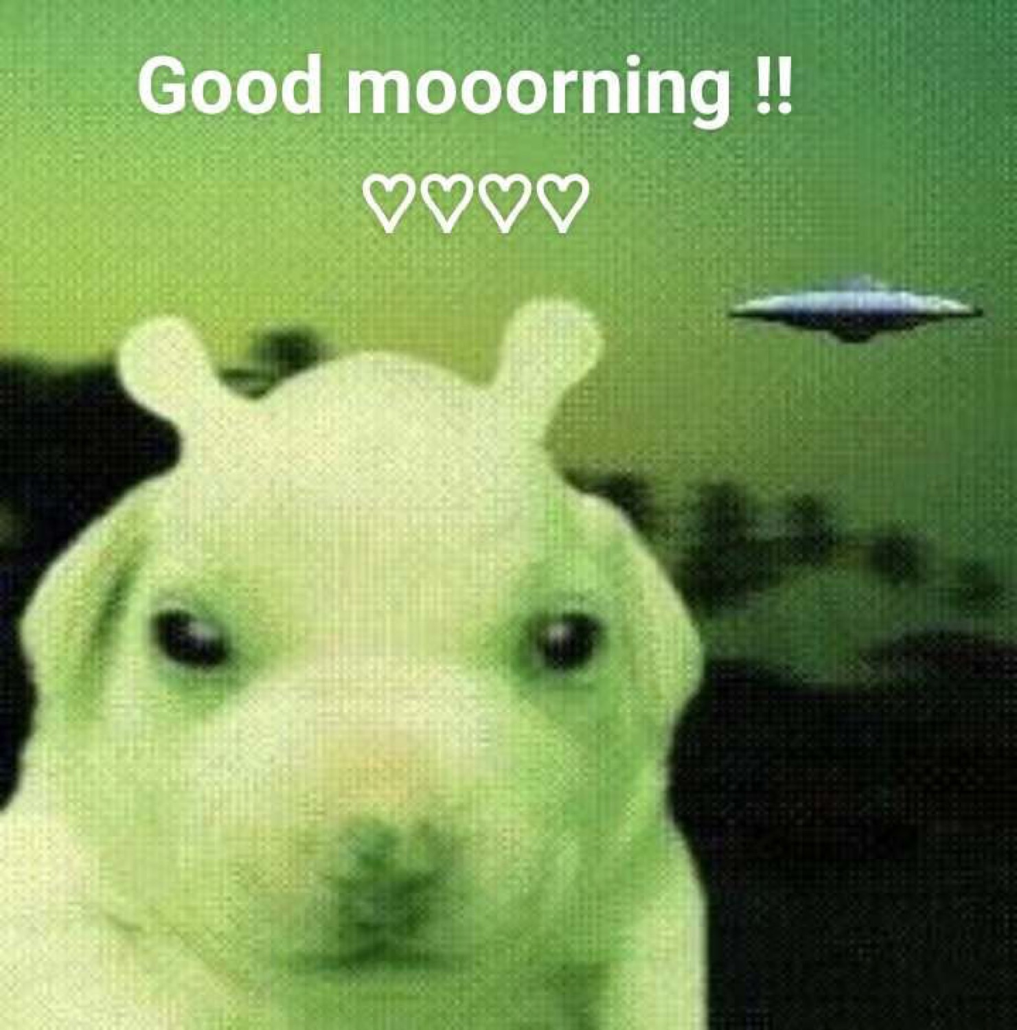 Green puppy with alien antennae: 'Good mooorning!! ♡♡♡♡'