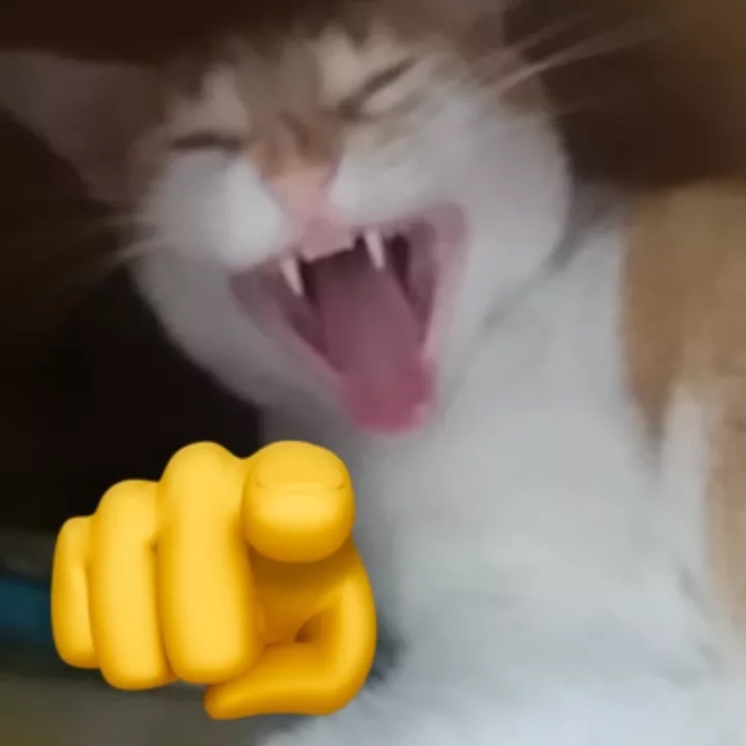 Cat cackling with mouth wide open next to a yellow emoji hand pointing right at you
