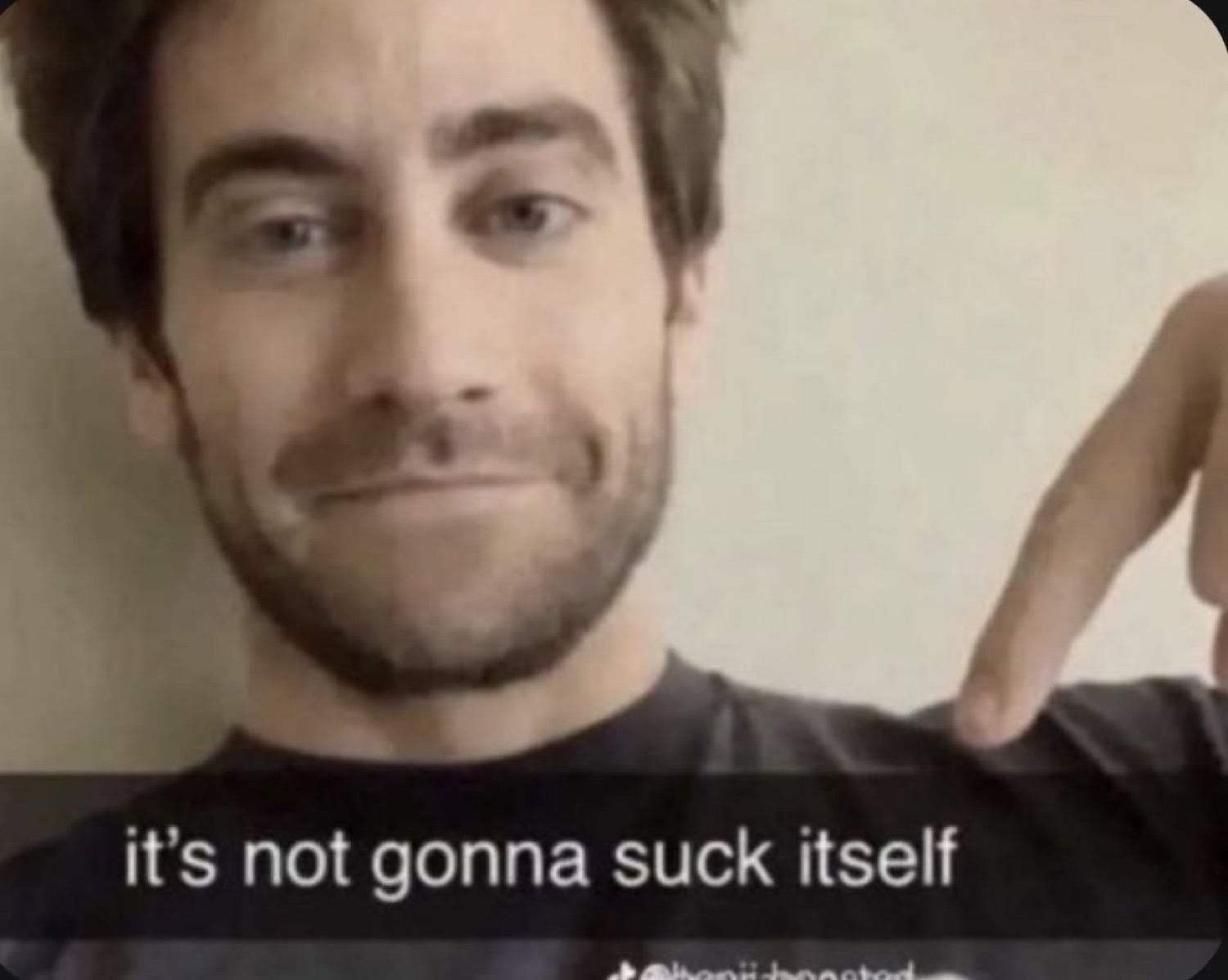 Man with a smirk pointing off to the side, captioned 'it's not gonna suck itself'