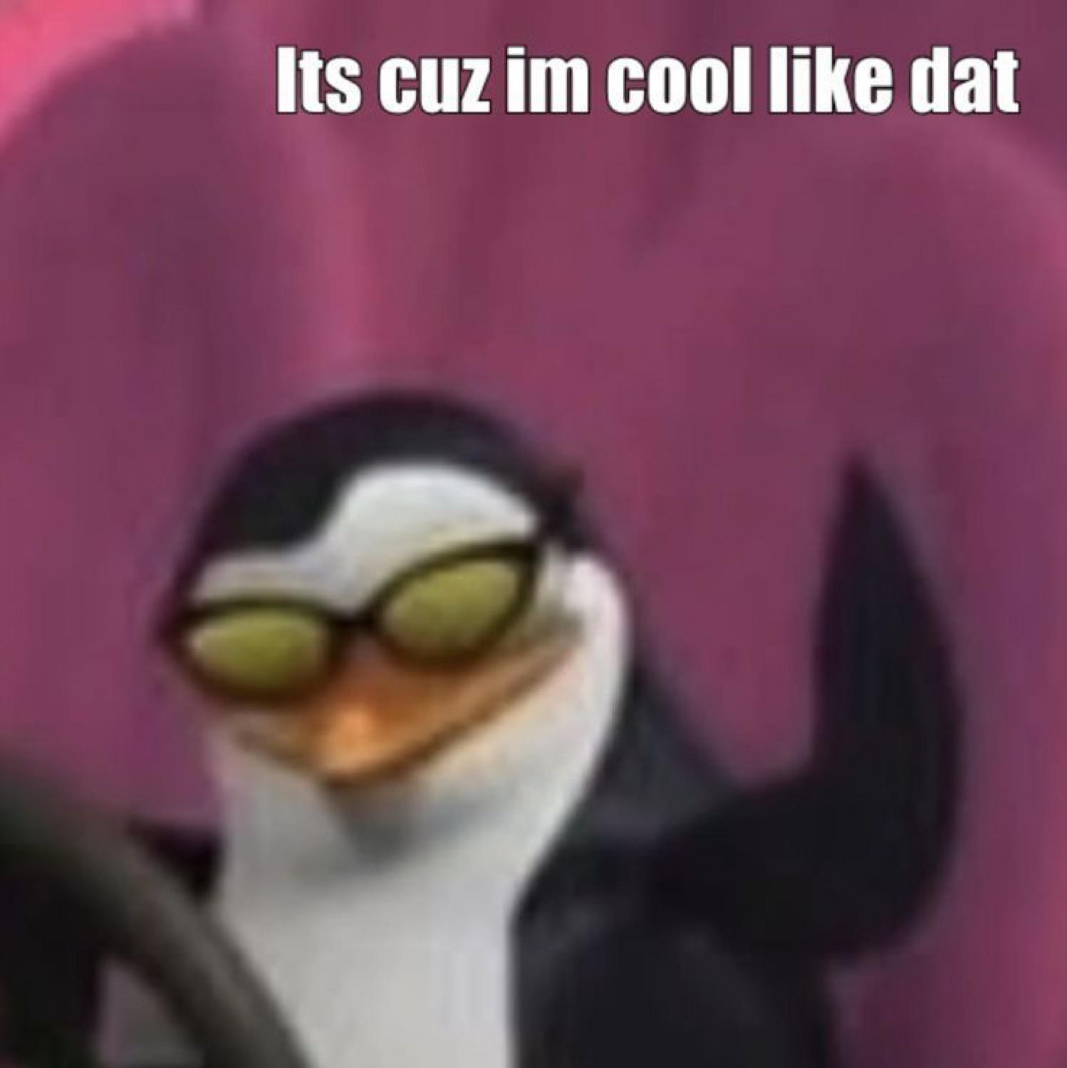 Skipper the penguin in sunglasses captioned 'Its cuz im cool like dat'