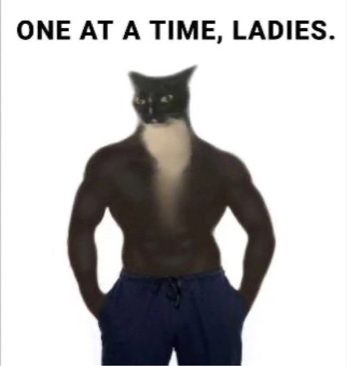 Buff shirtless body with a cat's head photoshopped on, captioned 'One at a time, ladies'