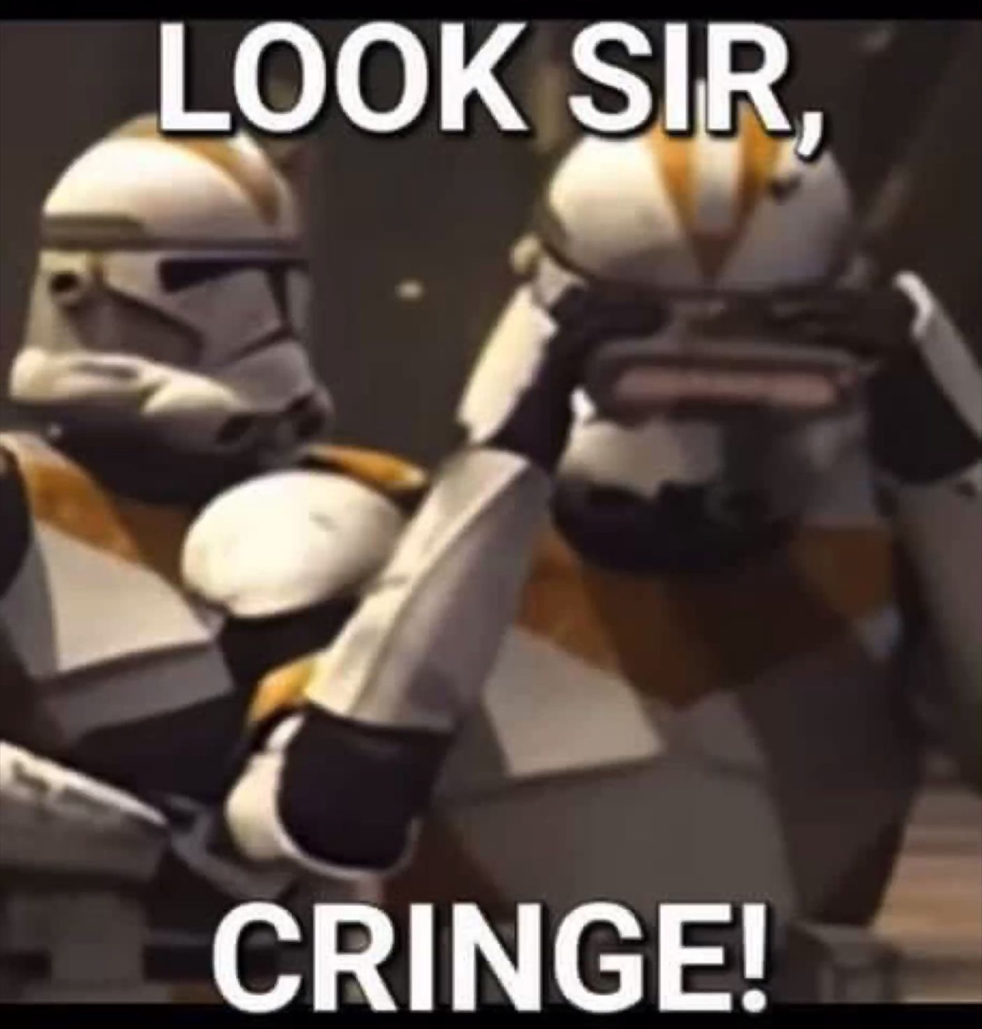 Clone trooper pointing out another under 'LOOK SIR, CRINGE!'