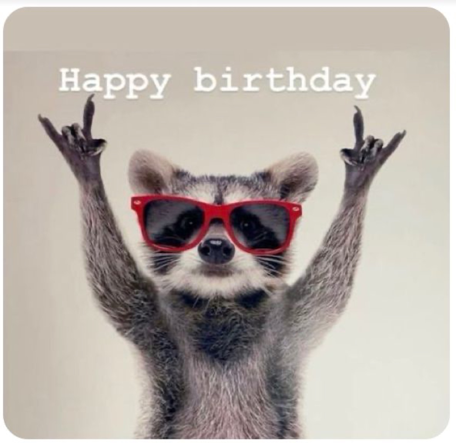 Raccoon in red sunglasses throwing up rock-on hands: 'Happy birthday'