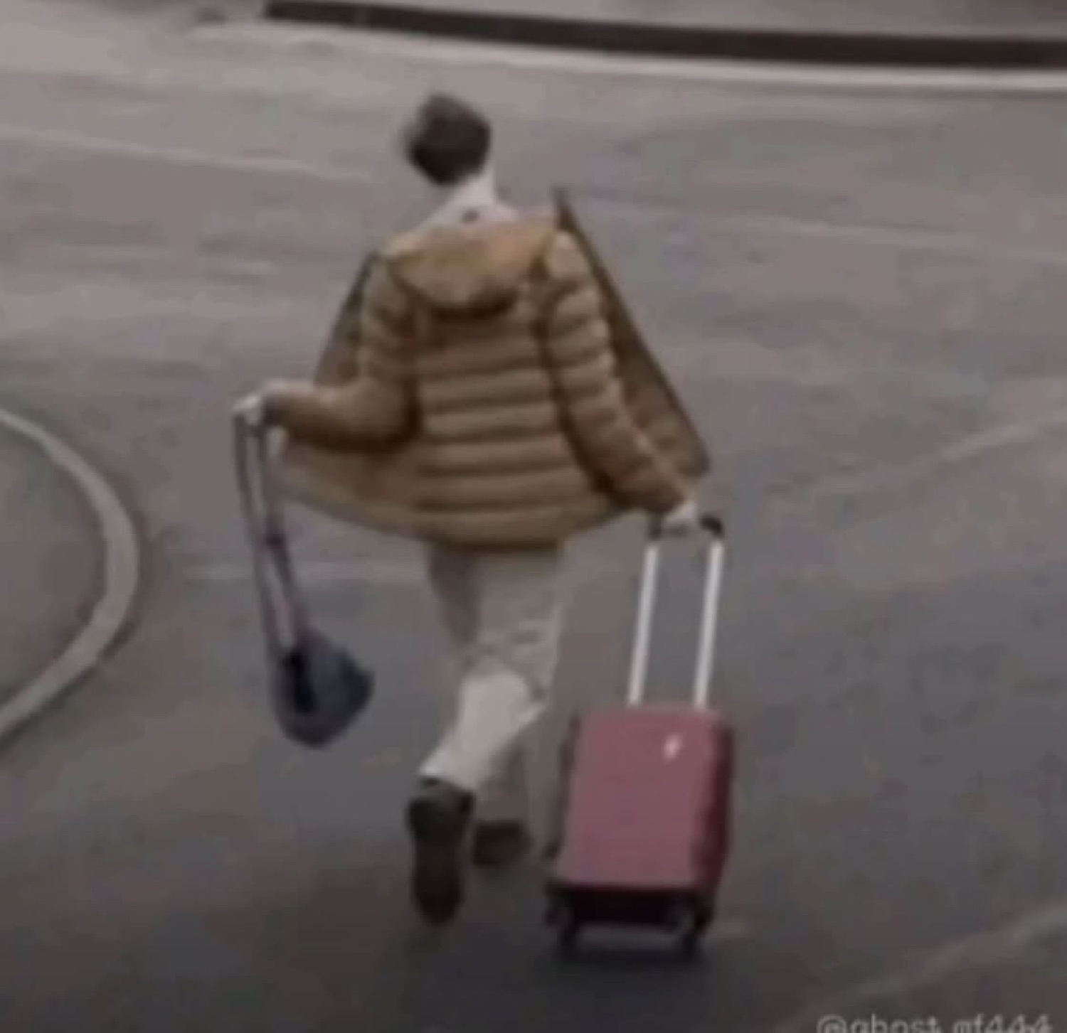 Person walking off with a suitcase