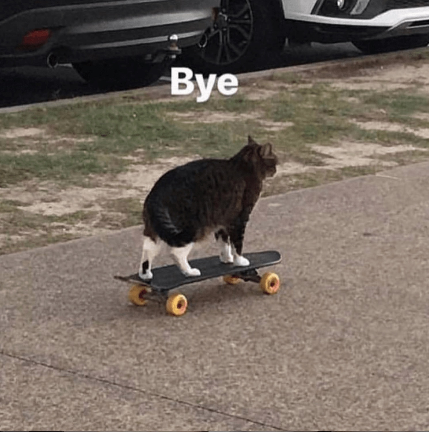Tabby cat riding a skateboard down the driveway captioned 'Bye'
