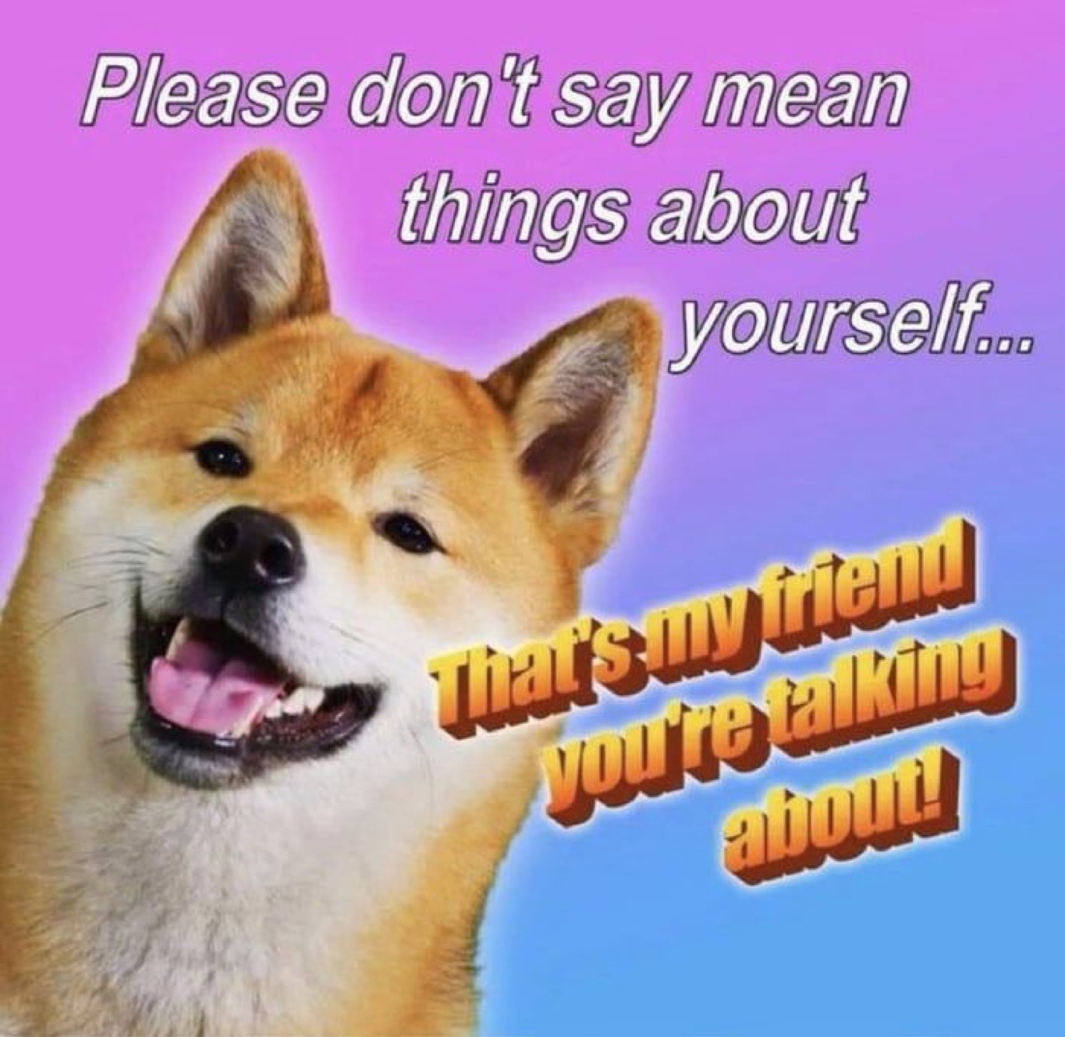 Beaming Shiba Inu, captioned 'Please don't say mean things about yourself, that's my friend you're talking about!'
