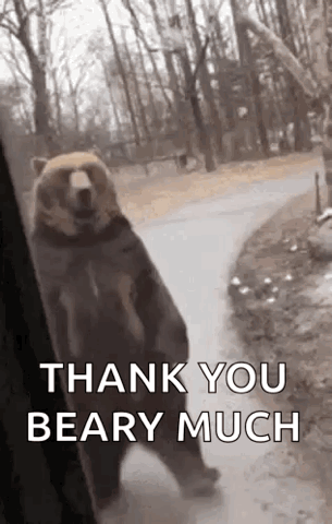 Bear standing up and waving, "Thank you beary much"