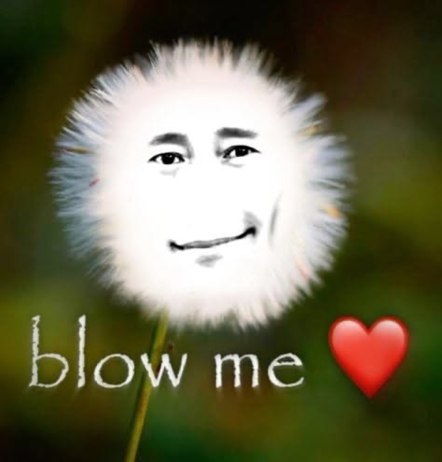 Dandelion with a smirking face captioned 'blow me' next to a heart