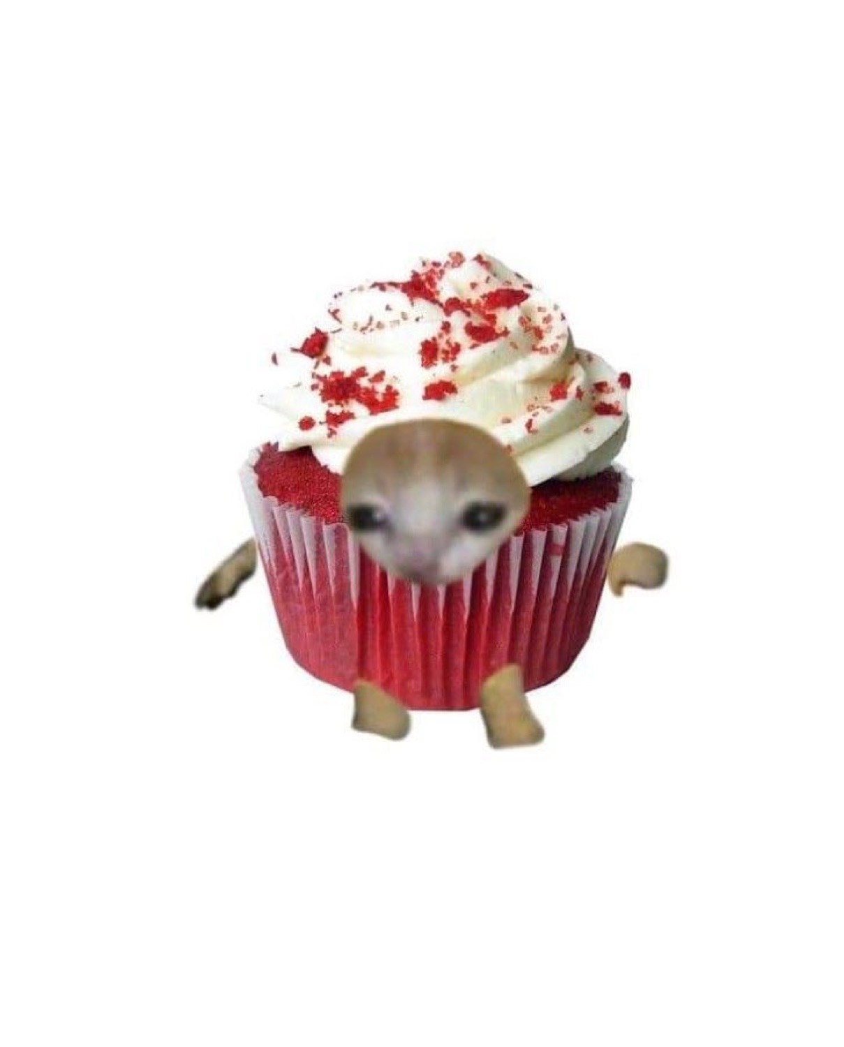 Sad cat face poking out of a red velvet cupcake with tiny legs