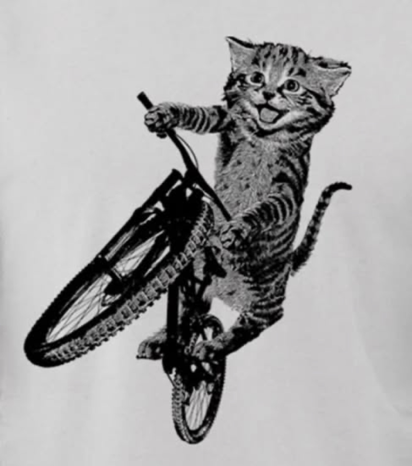 Black-and-white drawing of a grinning kitten riding a bike