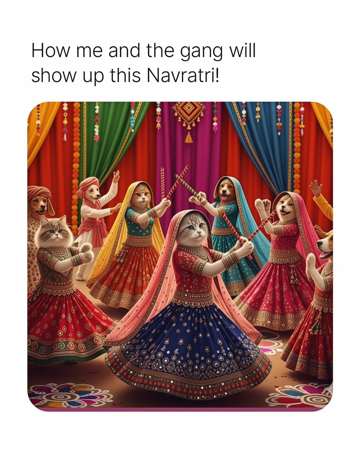 Cats in festive outfits dancing garba: 'How me and the gang will show up this Navratri!'