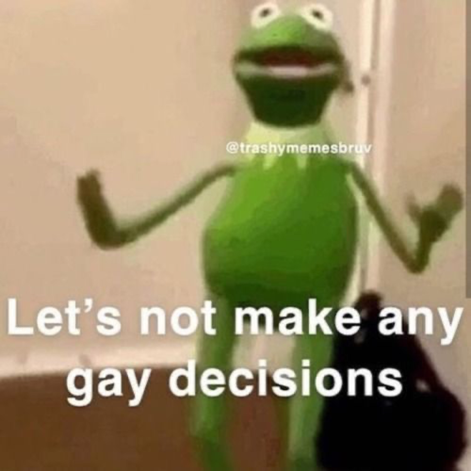 Kermit the Frog strutting down a hallway captioned 'Let's not make any gay decisions'