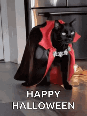 Black cat in a vampire cape, "Happy Halloween"