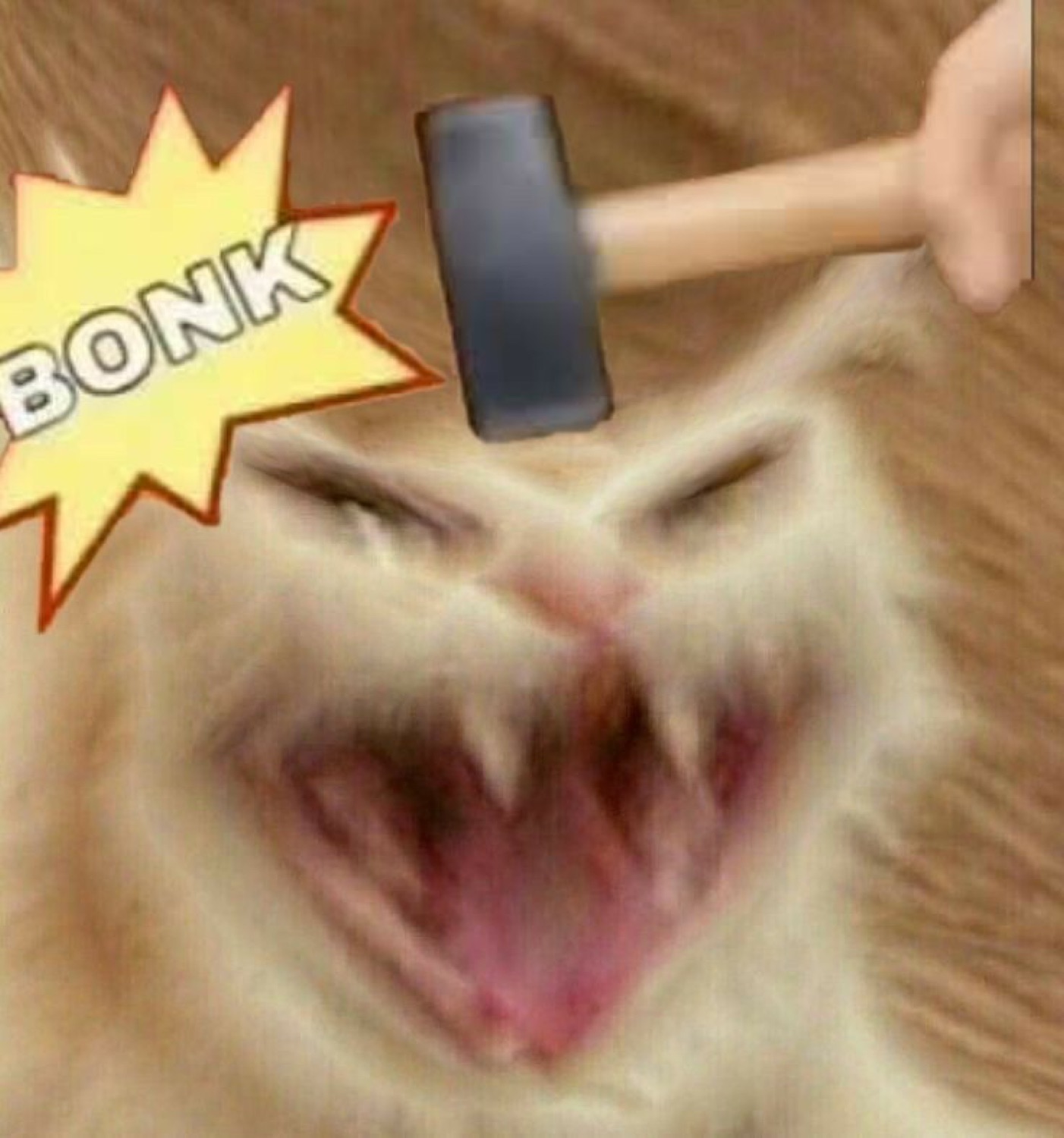Screaming cat getting hit with a hammer: 'BONK'