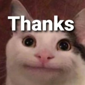 Smiling beluga cat: 'Thanks'